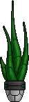 Potted Plant