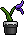 Purple Potted Plant