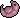 Chicken Embryo