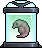 Small Specimen Container With Large Embryo